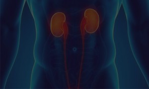 urologist in pune